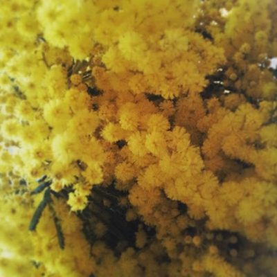 2016-02-19_1455894332