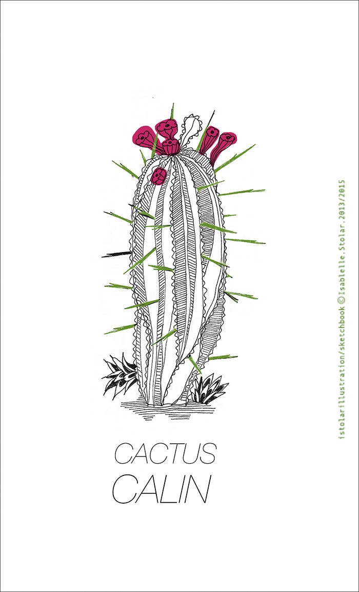 cactus calin copy