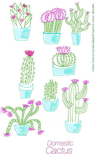 cactus in pot  mark