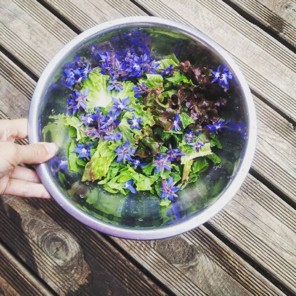 1248686111016204329_242781389