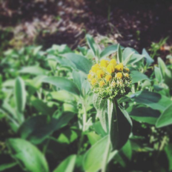 1248690473193027801_242781389