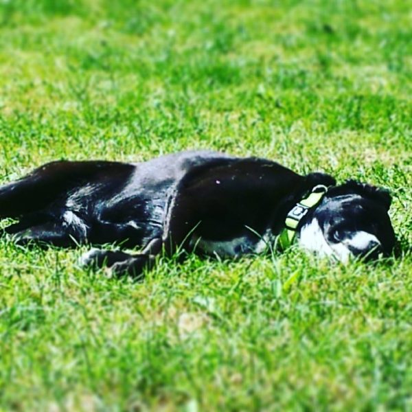 1250618888938699230_242781389