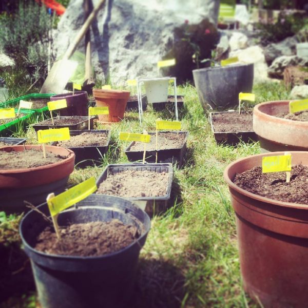 1251597640002812803_242781389