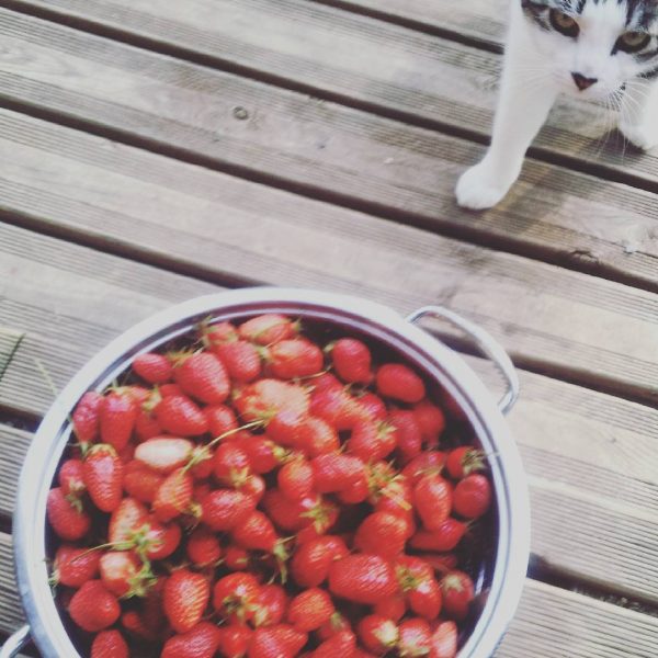 1255205198319958146_242781389