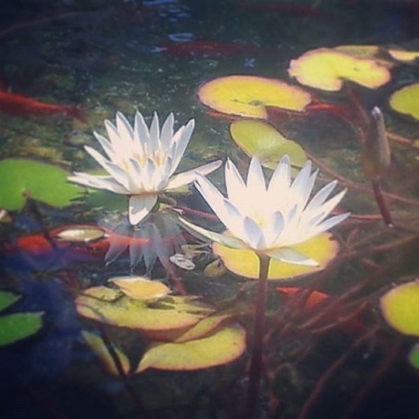 2016-05-05_1462451810