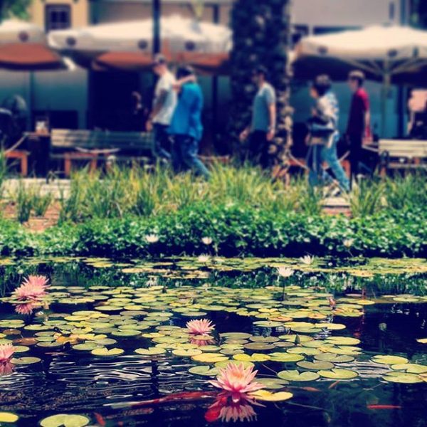 2016-05-05_1462452019