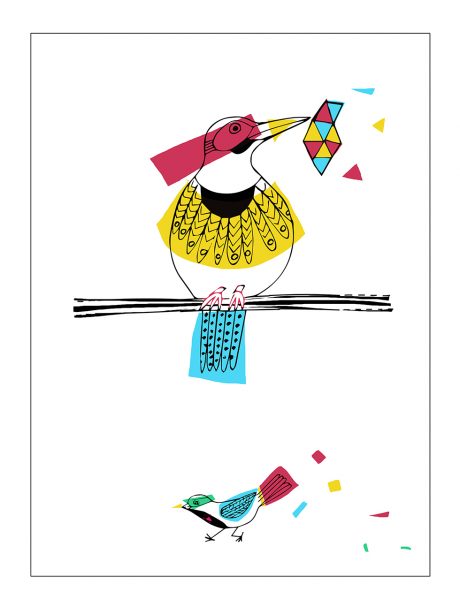 coloriage oiseaux couleur sst